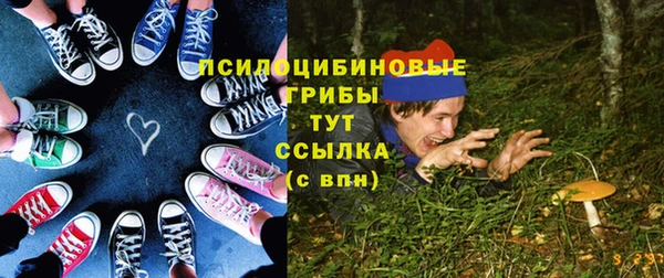 мдпв Гусь-Хрустальный