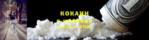 мдпв Гусь-Хрустальный