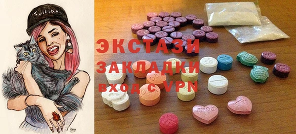 индика Лабытнанги