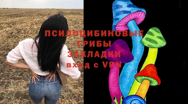 мдпв Гусь-Хрустальный