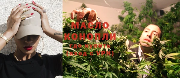 индика Лабытнанги