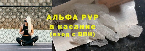 мдпв Гусь-Хрустальный