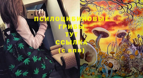 гашишное масло Гусев