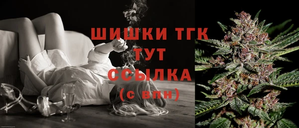 мдпв Гусь-Хрустальный