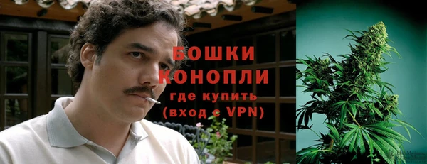 мдпв Гусь-Хрустальный